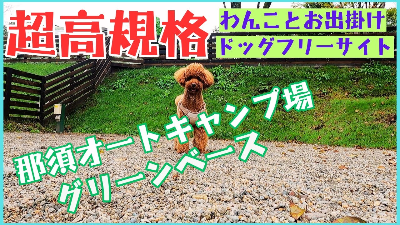 超高規格！那須キャンプ場グリーンパークのドッグフリーサイトで１泊2日のキャンプをしてきました。