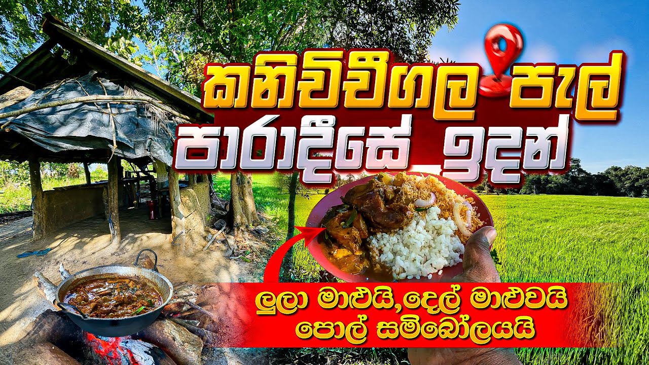 කනිචිචීගල පැල් පාරාදීසේ ඉදන් ලුලා මාළුයි,දෙල් මාළුවයි,පොල් සම්බොලයයි #villagefood