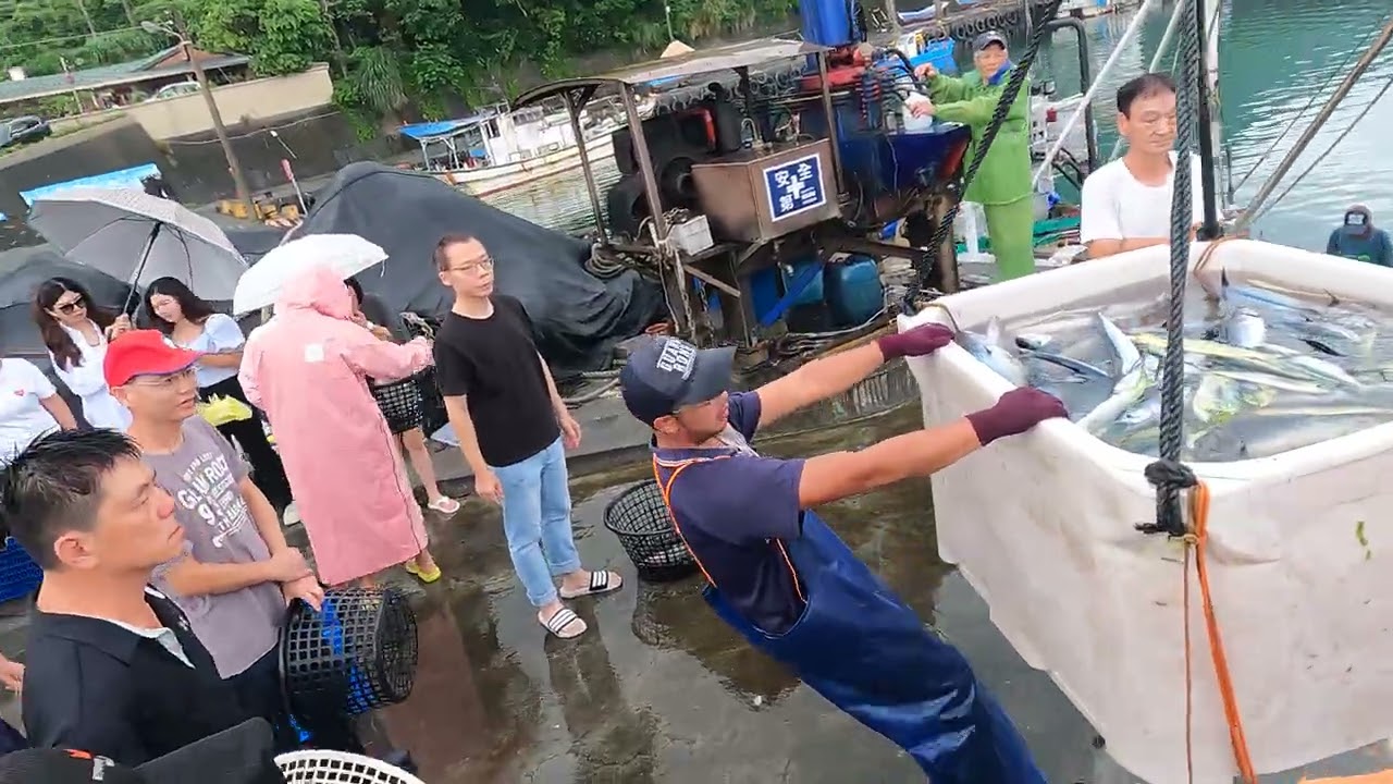 網友全跪了：這批貨太頂！太平洋的「海中霸王」與「子彈列車」一次到齊！ 光榮定置漁場 