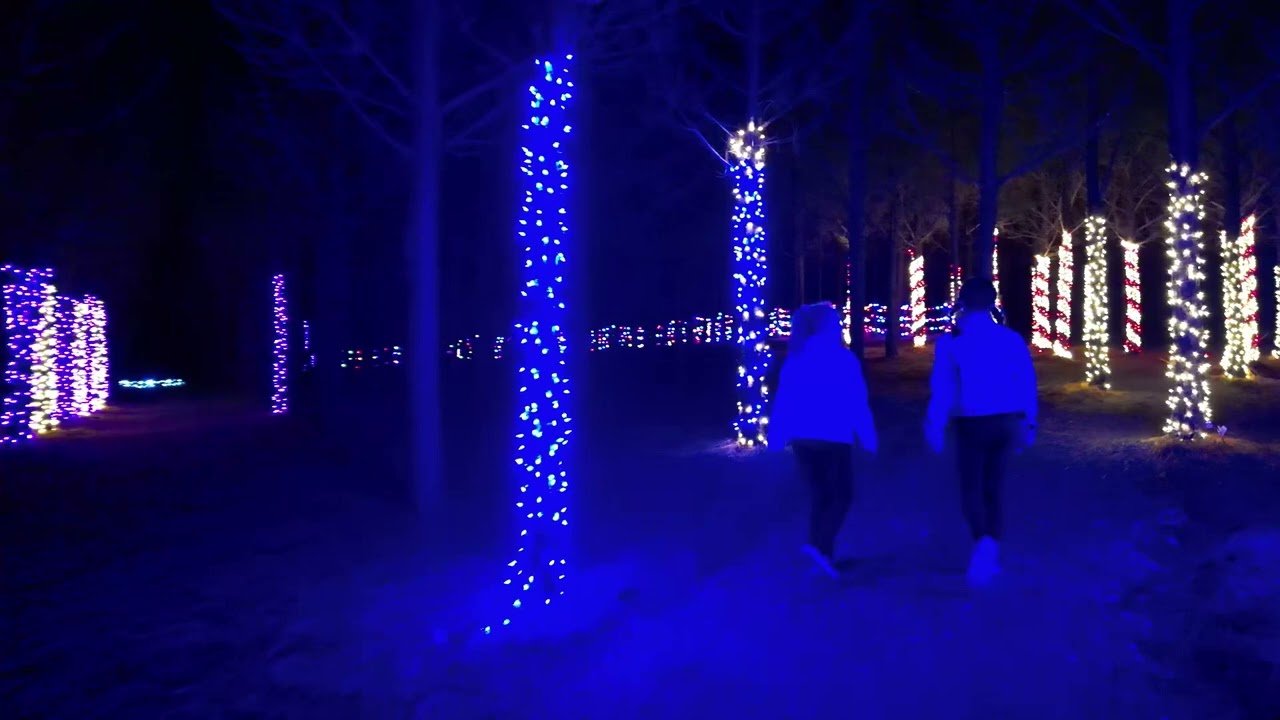 Arbor Hills Holiday Festival