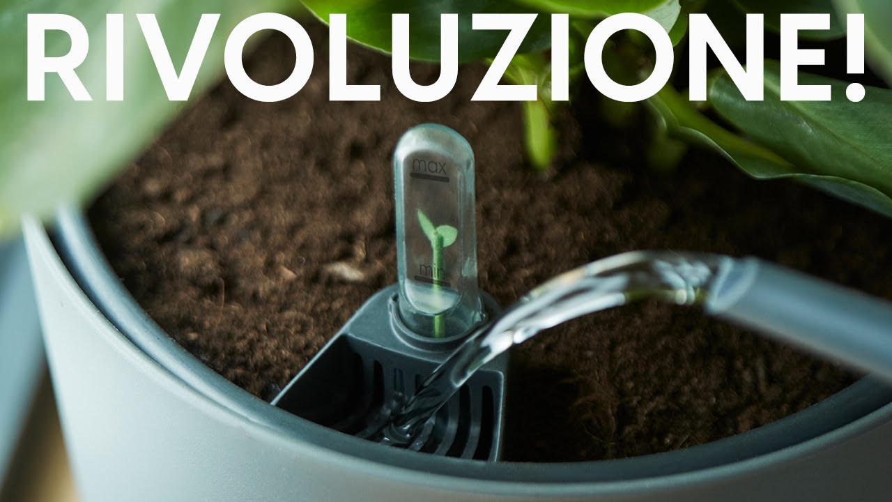 Vasi autoirriganti: dimenticati di innaffiare!