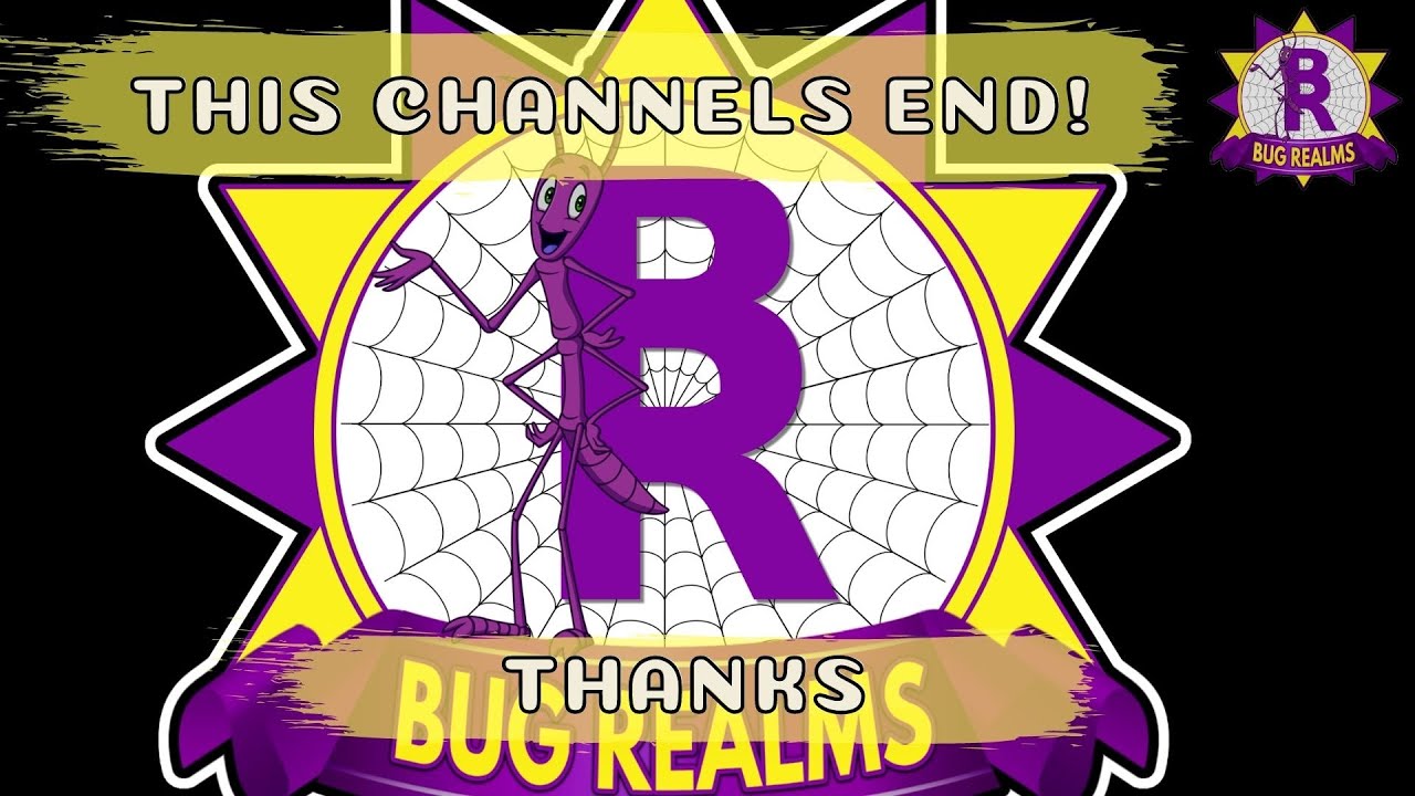 THE END OF THIS CHANNEL! (Not Clickbait)