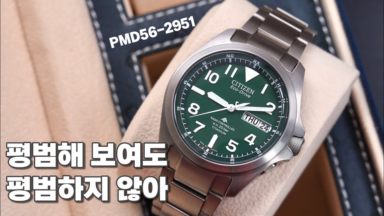 그냥 이거 사면 됩니다. 시계 마니아들이 인정하는 시티즌 가성비 툴 시계! 프로마스터 랜드 PMD56-2951 리뷰