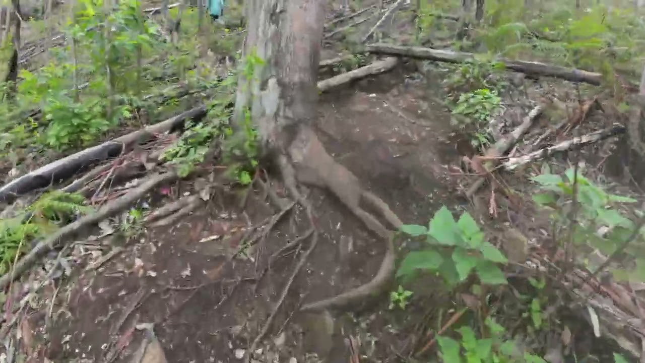 Hidden Spot | Trekking For 4km | Stopped @ Mid Becoz Of Wild Bees | Vattavada | Kerala