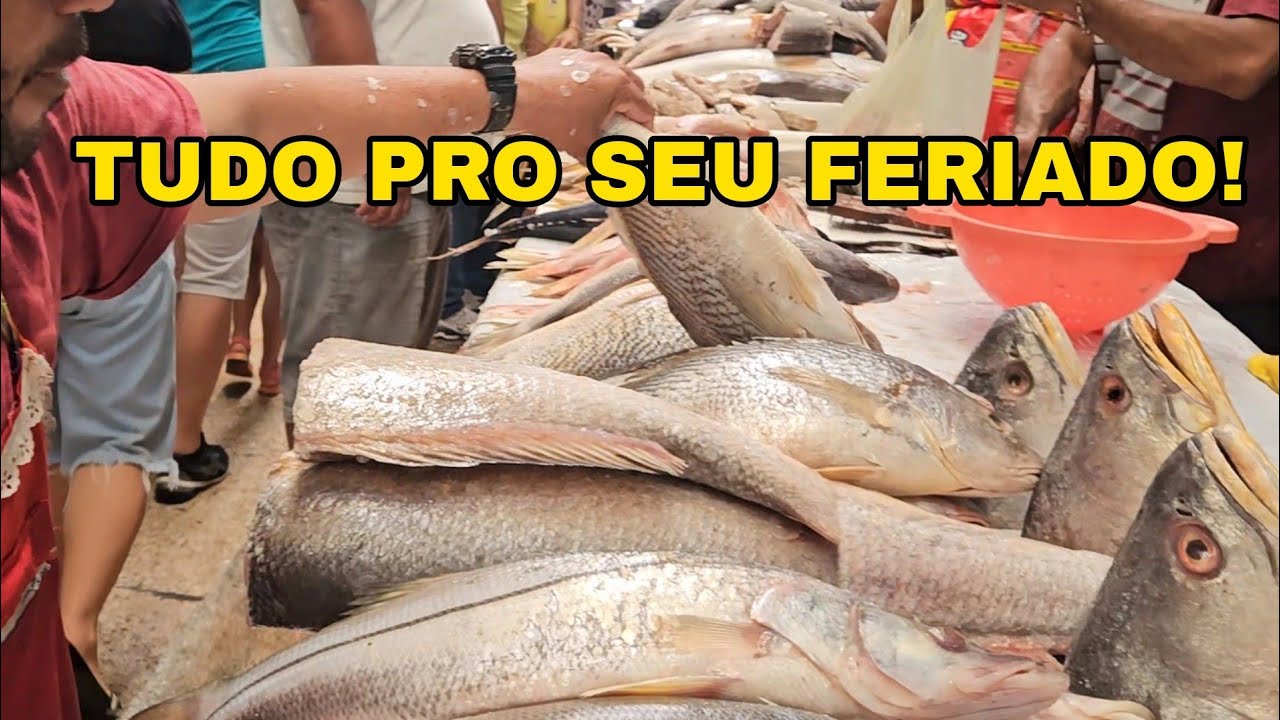 PREÇOS dos PEIXES e frutos do mar em ARACAJU ( FERIADO)