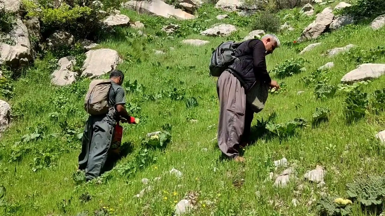 سیاوچەمانە ــ سەیری وەزەرا ماموسا عوسمان هەورامی