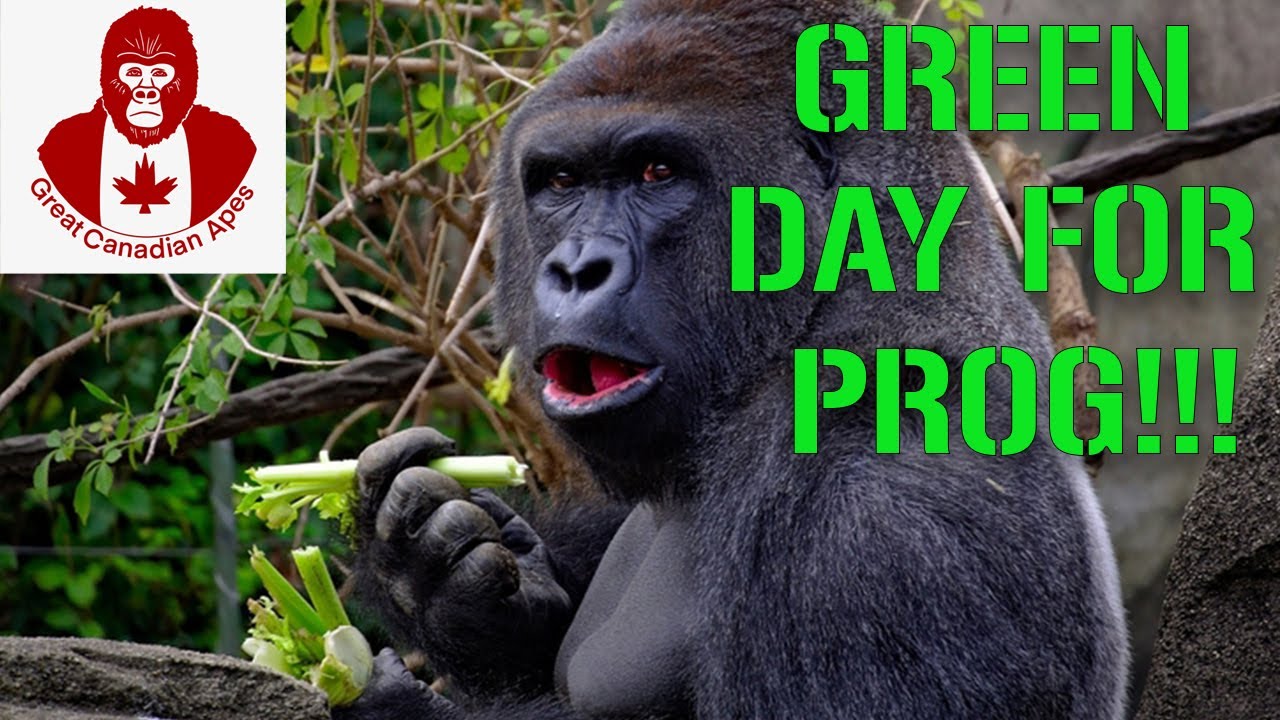 PROG Stock: Green Day For PROG!!!
