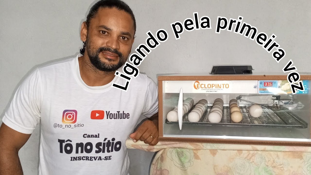 chocadeira eclopinto. ligando e colocando ovos pela primeira vez