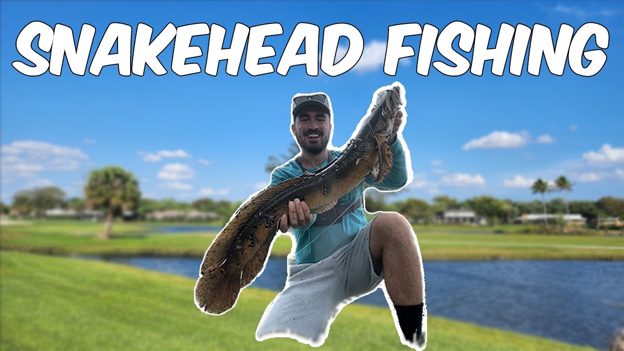 Snakehead Fishing In South Florida!! (Monster Catch!)