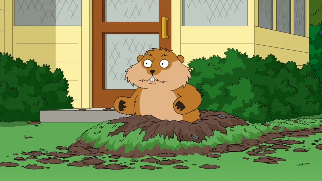 Every time Family Guy plays a Kenny Loggins song he gets a new hot tub for his Colorado deck