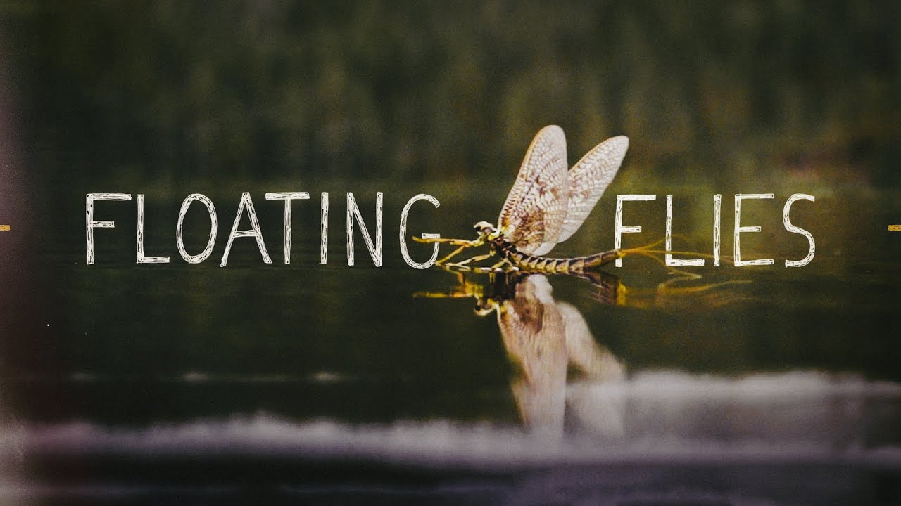 Floating Flies | An Interpretation of the Fly Fishing Bible