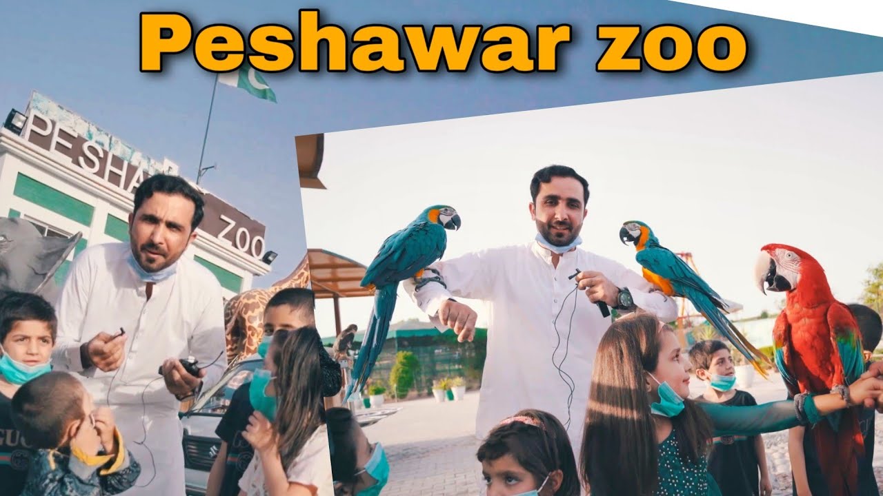 Peshawar zoo aw Mashomano Sara |Eisakhan Orakzai| 2021 new video