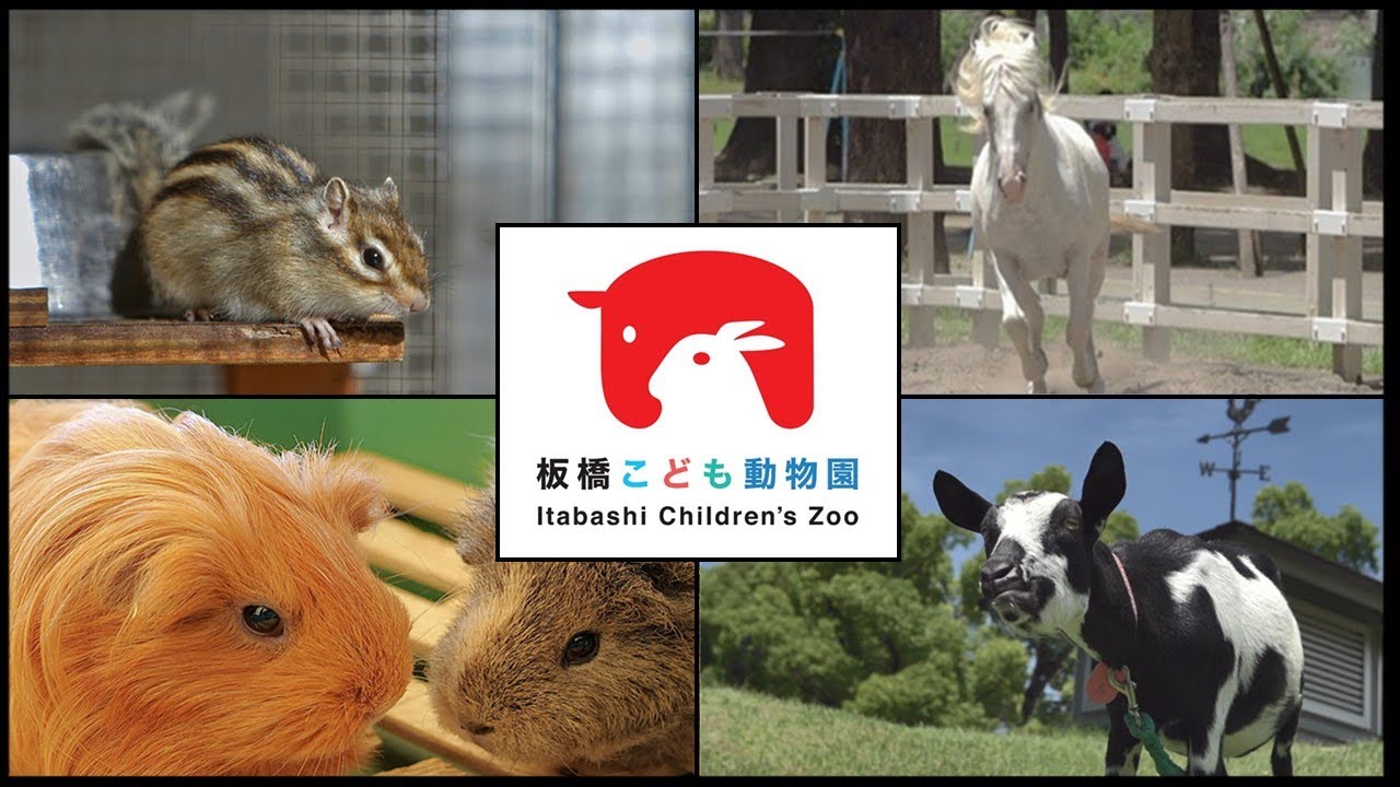 板橋区立こども動物園PV