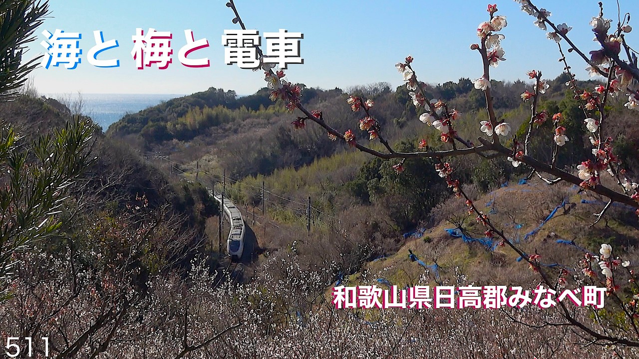 海花電車ツーリング