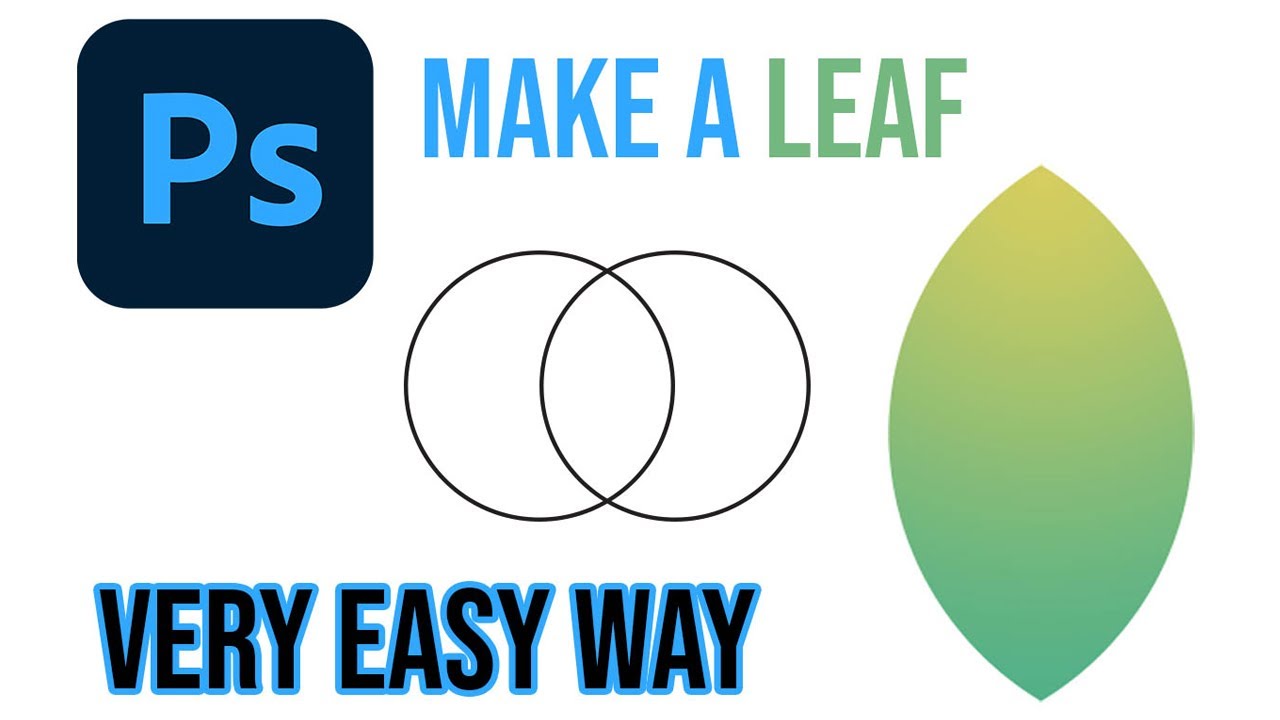 Make a LEAF Shape using Ellipse Tool in Adobe Photoshop-Leaf Logo Design By AMATEUR GRAPHICS