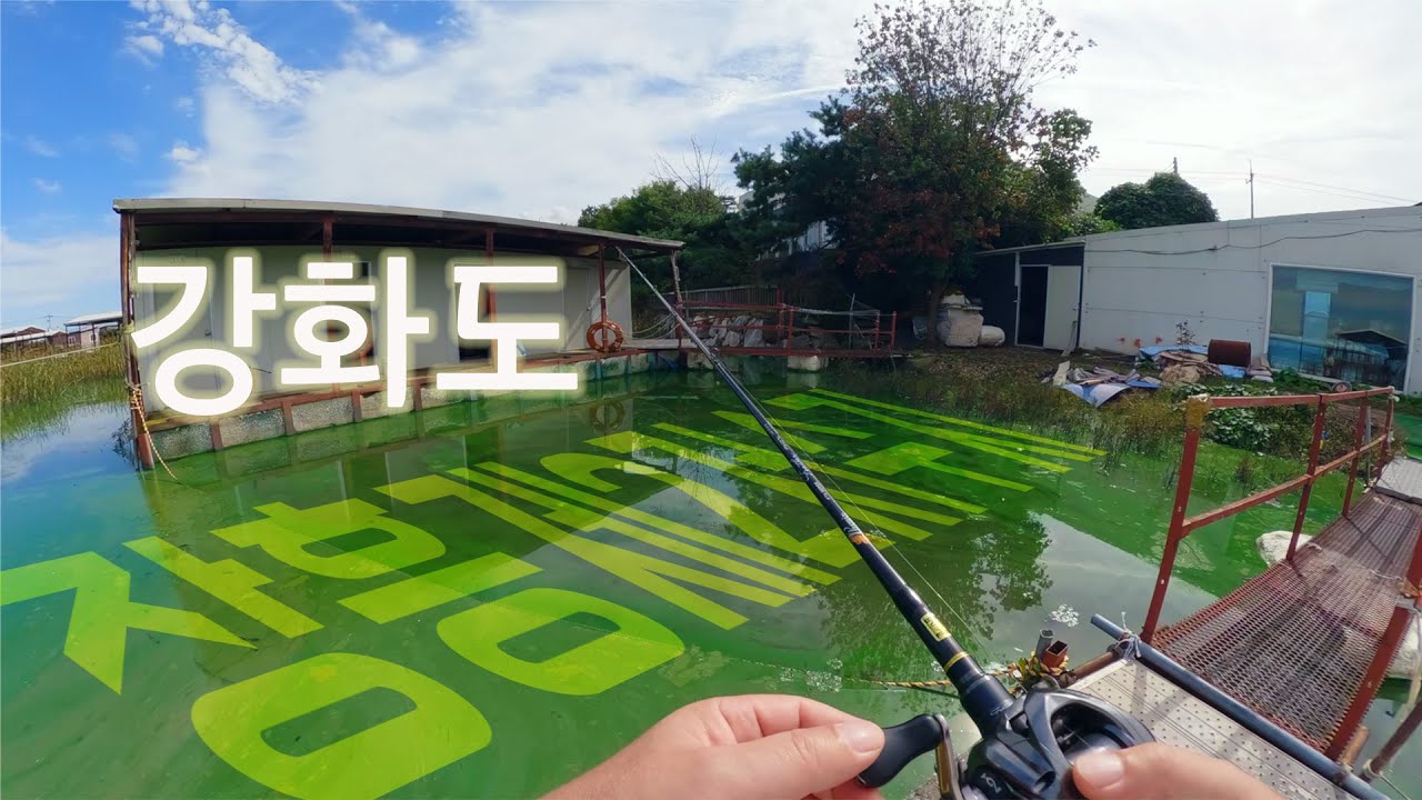 강화도에 다녀왔습니다 #배스낚시 #fishing #수로낚시