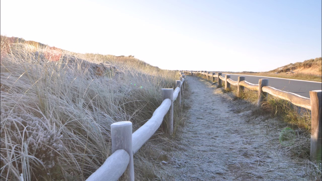 Wintersonne in der Natur in und um Henne Strand/Houstrup