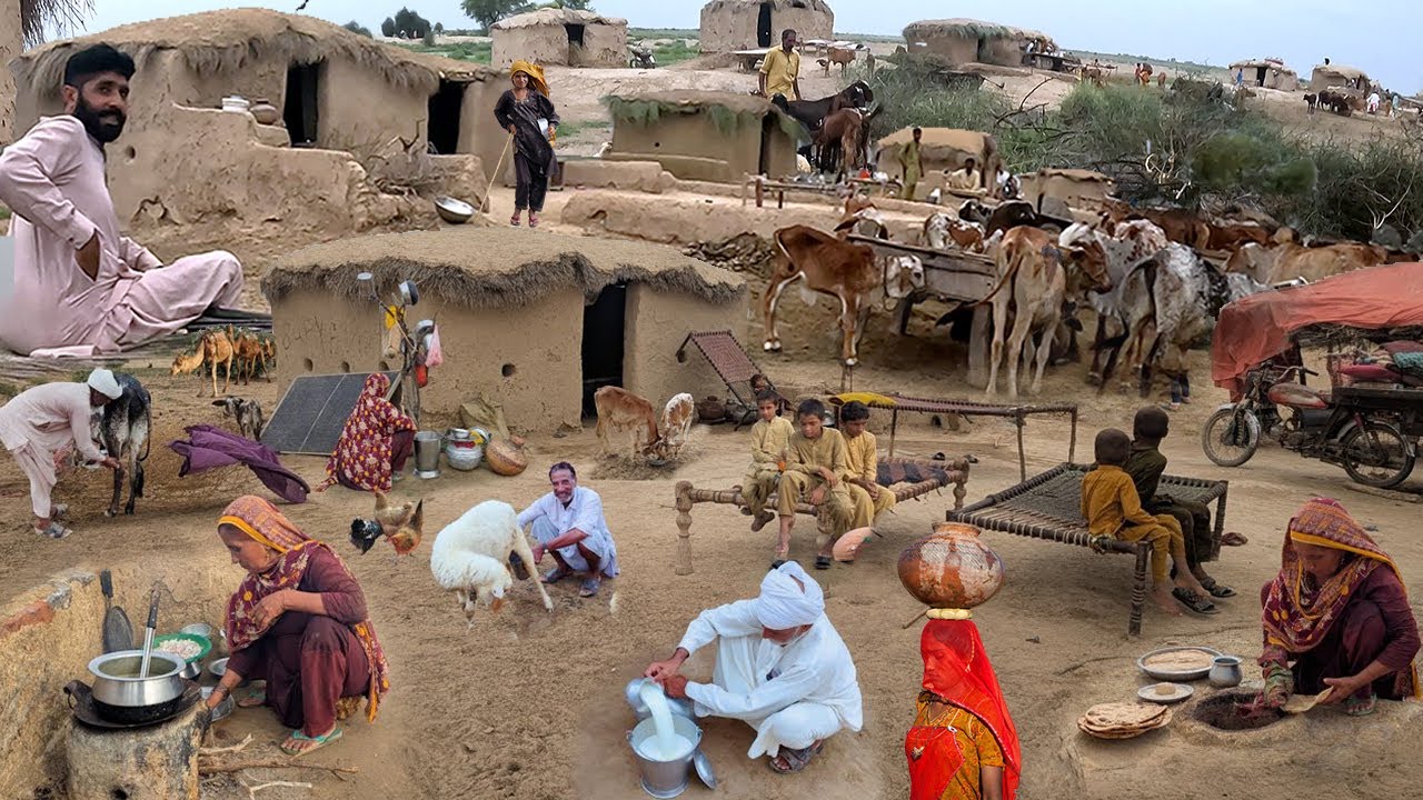 Morning Routine of Desert Women  || How Do People Live in Cholistan Desert in Pakistan