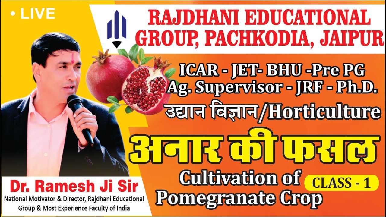 [7] अनार | दाड़िम की खेती/Cultivation of Pomegranate Crop | Horticulture Ag Supervisor/JET/ICAR/BHU