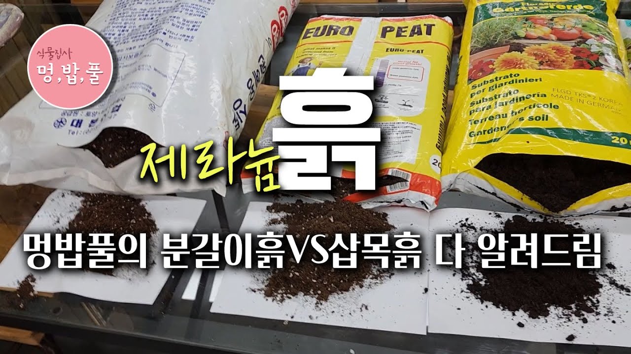 제라늄,흙종류.분갈이흙,삽목흙.흙배합비#제품구입 '더보기'에 있어요