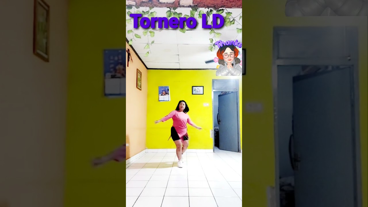 TORNERO (Bachata) - Line dance ( Paolo Y Nicola )