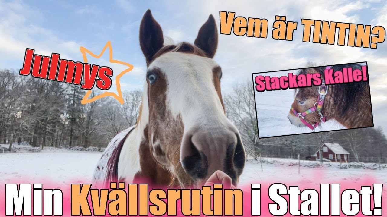 Min Kvällsrutin i Stallet! || Hemska KOLIK! || Stallvlogg