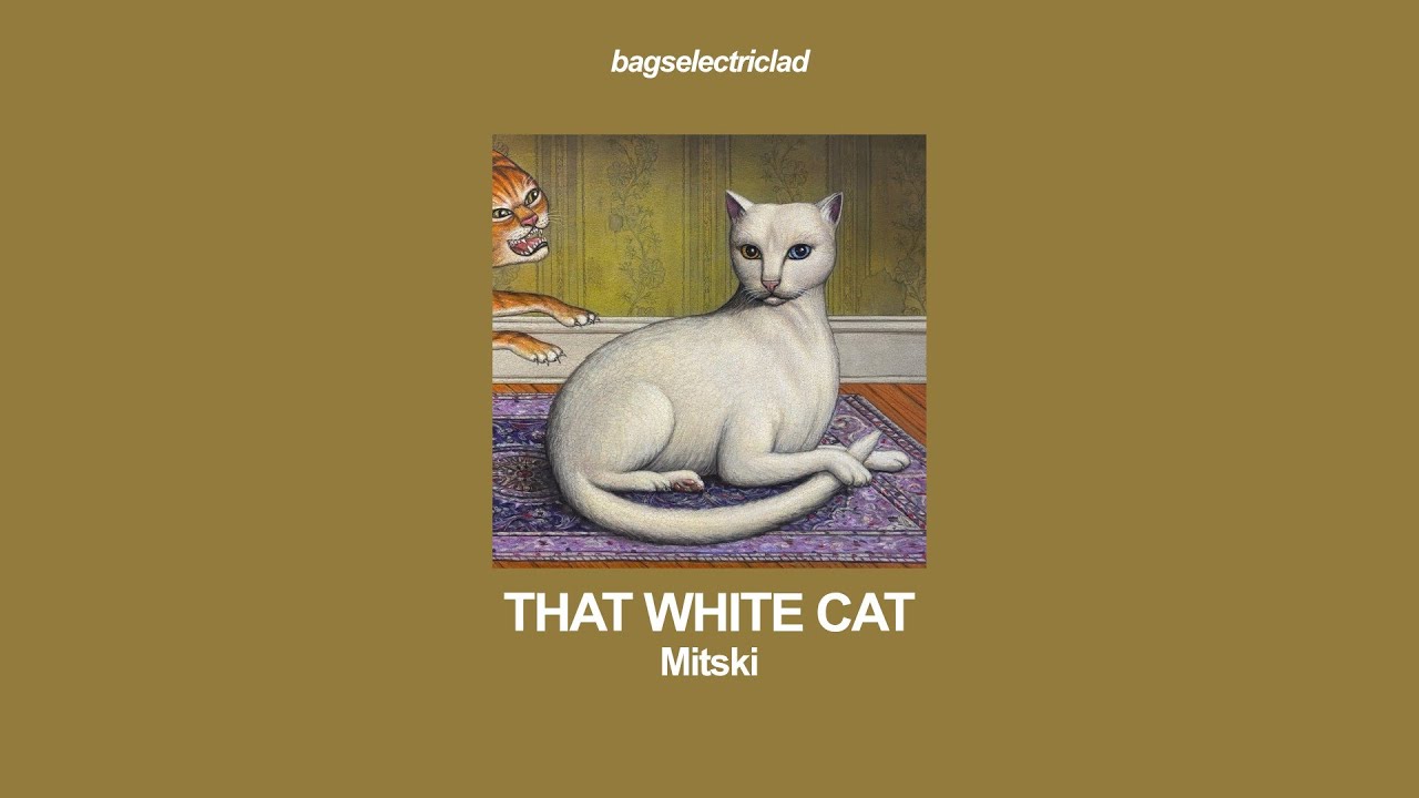 mitski &ndash; that white cat (lyrics)