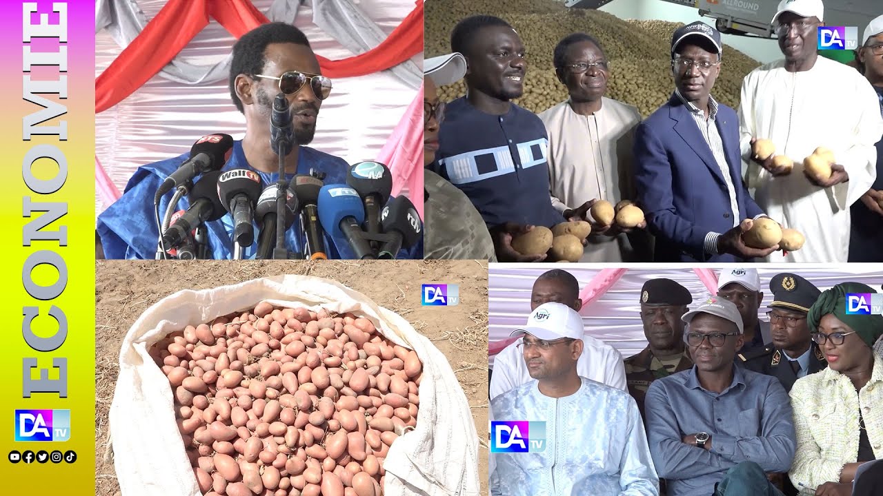 « SWAMI AGRI a positivement transformé le quotidien des habitants de Mbane » (Maire)