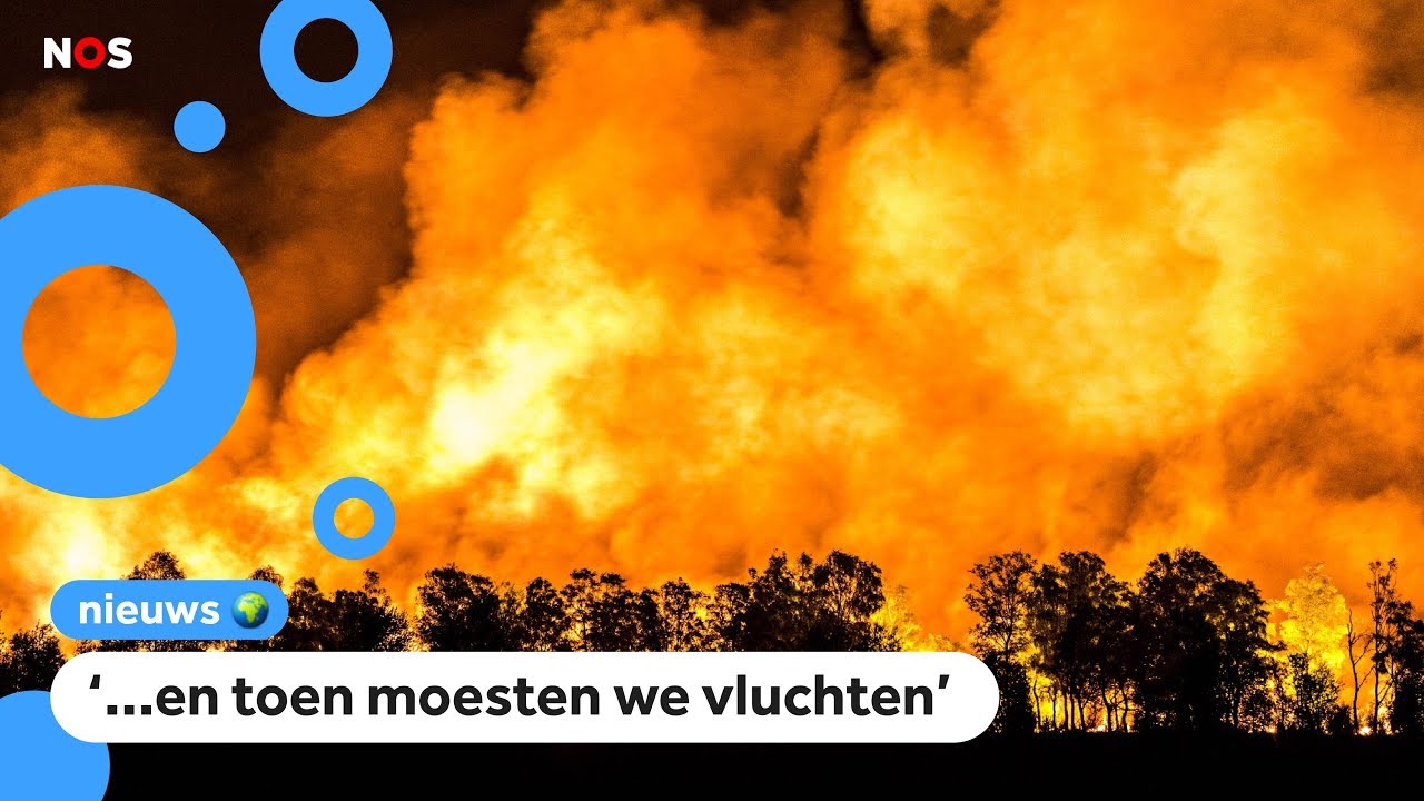 Heel dorp in Limburg ontruimd vanwege natuurbrand