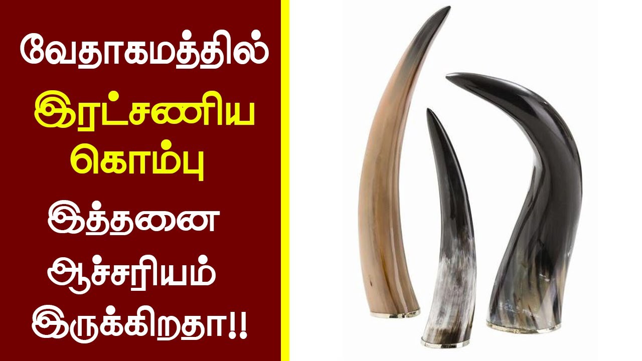 56 - இரட்சணிய கொம்பு என்றால் என்ன?  Peter Madhavan - Tamil Christian Message - Bible Facts