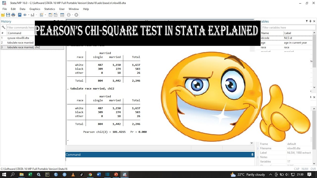 How to Perform Pearson's Chi-Square Test In Stata