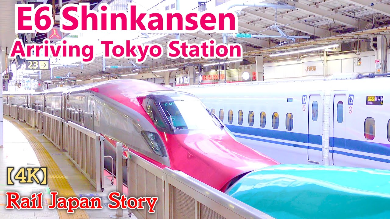 E6 Series AKITA & E5 Series TOHOKU Shinkansen arriving at Tokyo Station | Train Japan