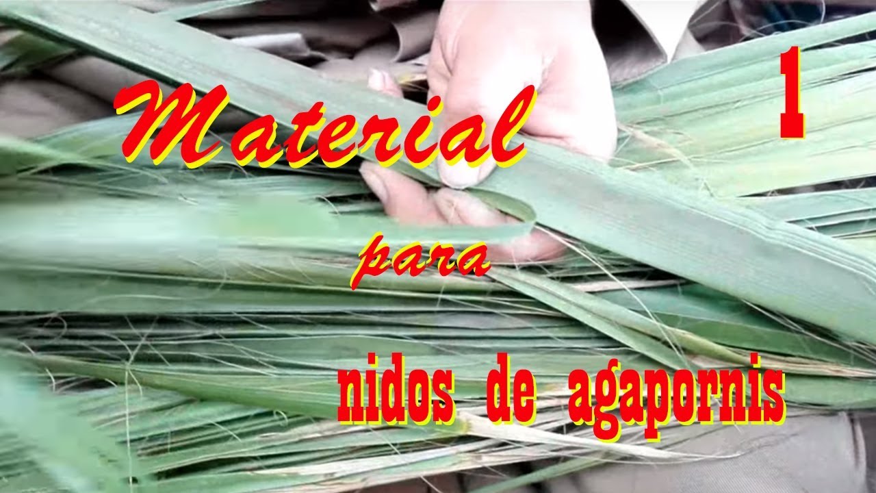 MATERIALES PARA NIDO DE AGAPORNIS -  Materials for lovebirds nests