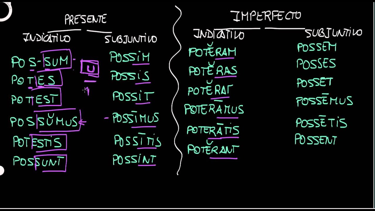 Verbo POSSUM.