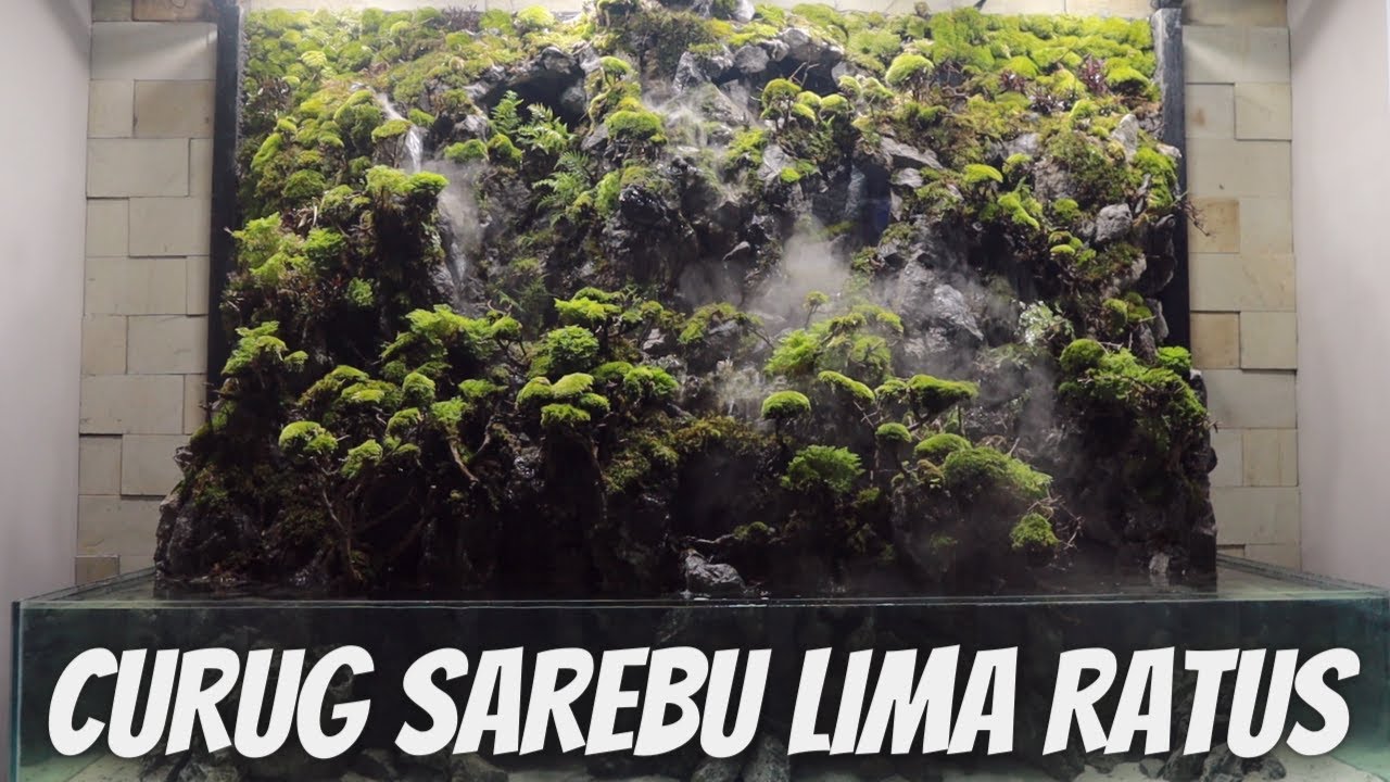 INSPIRASI DESIGN PALUDARIUM TEMA DIORAMA CURUG SERIBU, SUASANA HUTAN RIMBUN GOKIL !!! STEP BY STEP