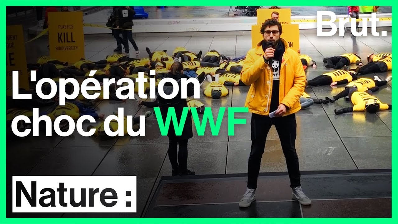Des b&eacute;n&eacute;voles du WWF d&eacute;guis&eacute;s en abeilles