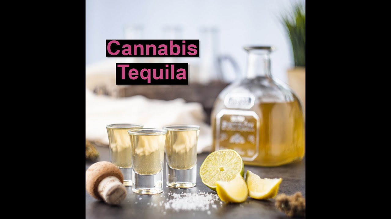 How to make cannabis tequila | CANNADISH