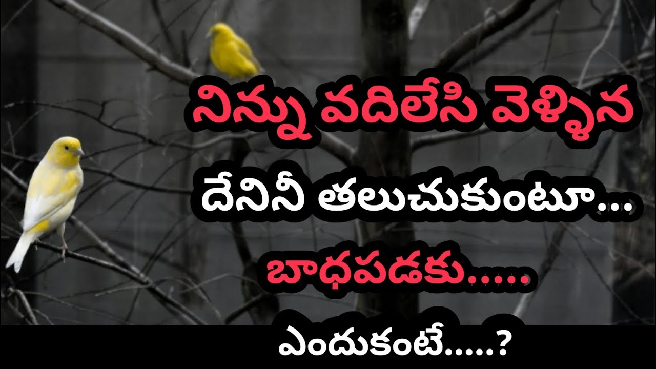wonderful quotes#913#jivithasathyalu |Million dalar quotes |‌|Sneha channel