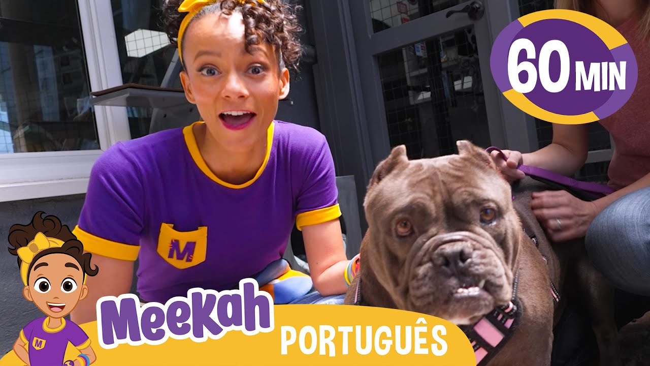 Cuidando dos Bichinhos no Abrigo! | Amigos do Blippi Brasil | Vídeos Educativos para Crianças
