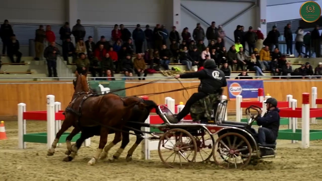 Fedeles Fogathajtó OB. döntő