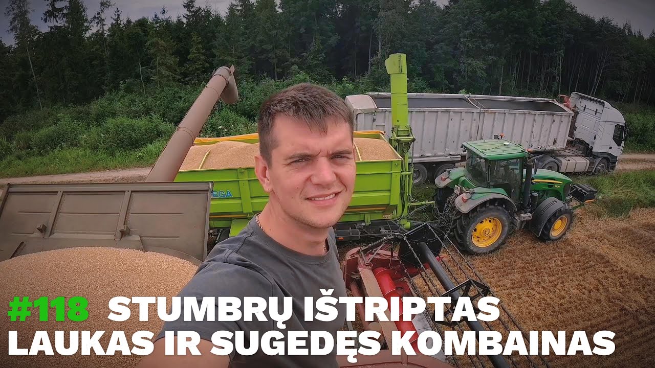 #118 Kviečių kulimo pabaiga: sugedęs kombainas, stumbrų ištriptas laukas ir derliaus rezultatai.