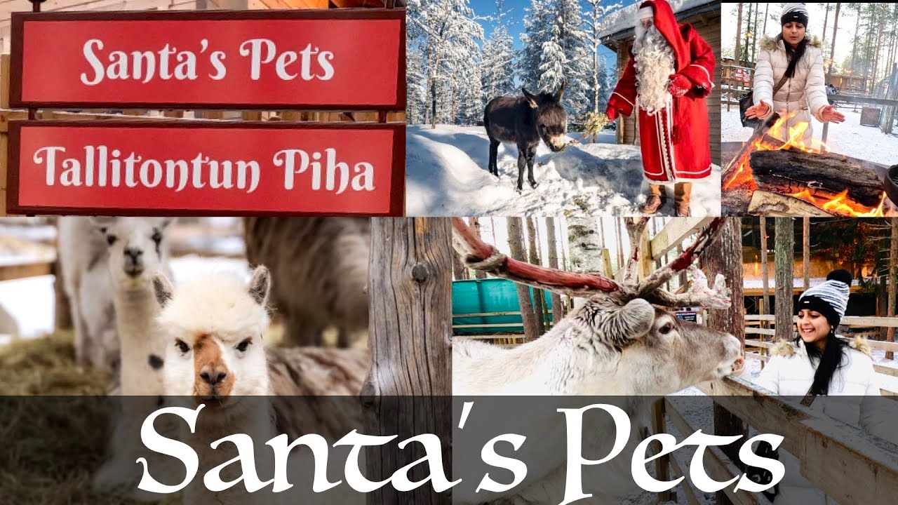 Santa's Pets at Santa Claus Village | Complete Guide to Tallitontun Piha | Rovaniemi Lapland | 4K