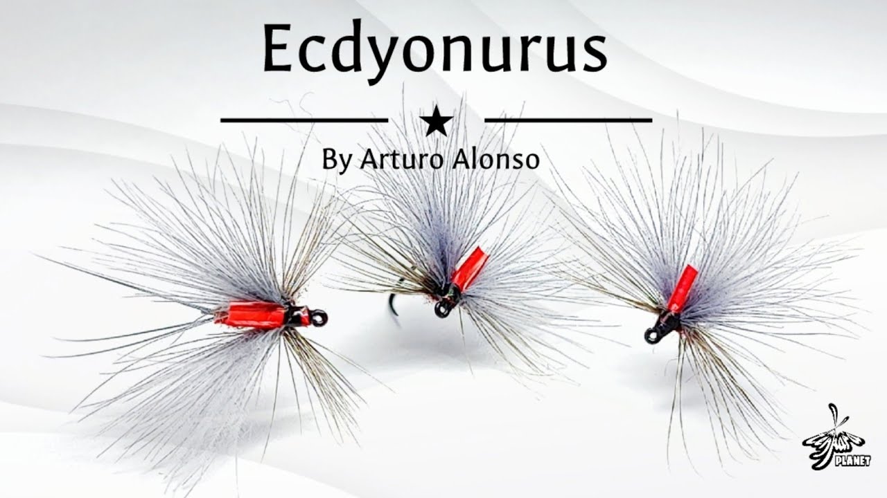 Montaje de moscas: Ecdyonurus CDC con Hackle Adelantado.