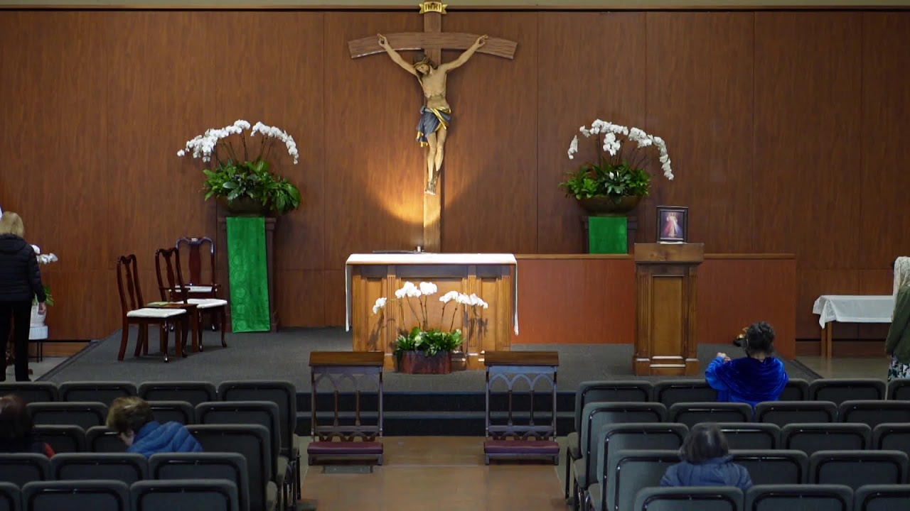 STM Livestream: 8AM Thursday Mass