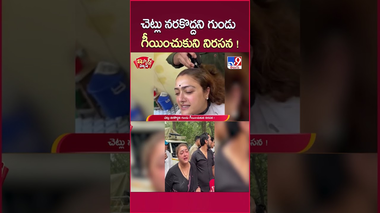 iSmart News: Protest against tree felling; woman gets head shaved in defiance! - TV9