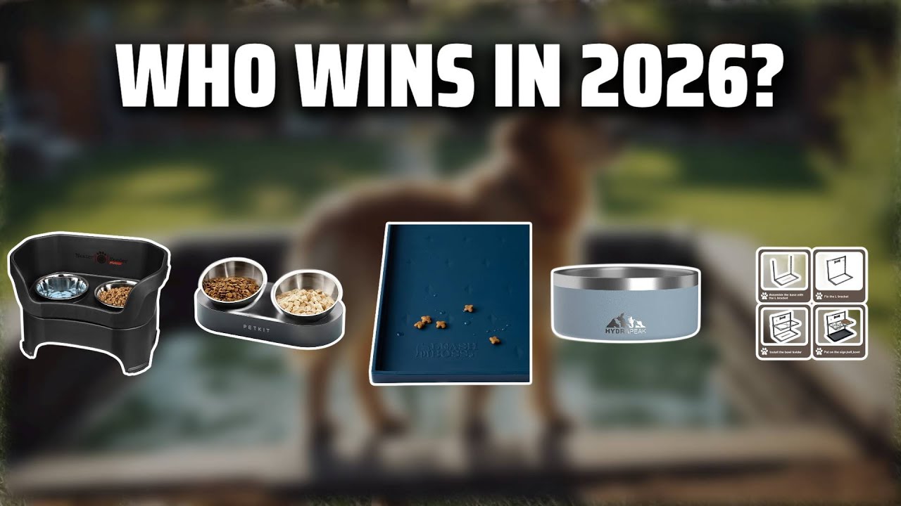 The Top 5 Best Yeti Dog Bowls in 2026 - Must Watch Before Buying!
