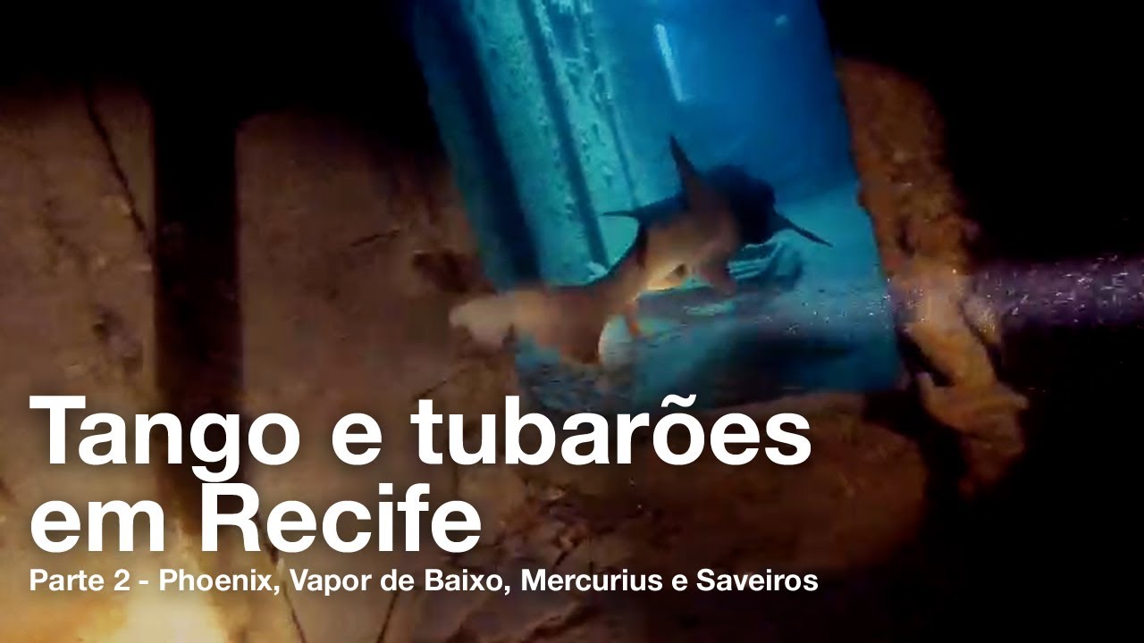 PARTE 2 — Naufrágios de Recife - PE: Phoenix, Vapor, Mercurius e Saveiros / Walvee + JEDIVERS