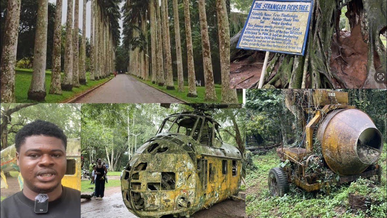 The Hidden History of Aburi Botanical Gardens (Part 1)