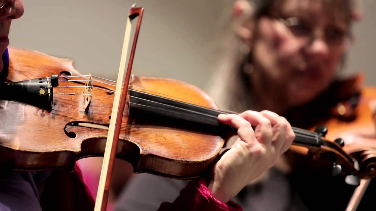 The Florida Orchestra 2013/2014