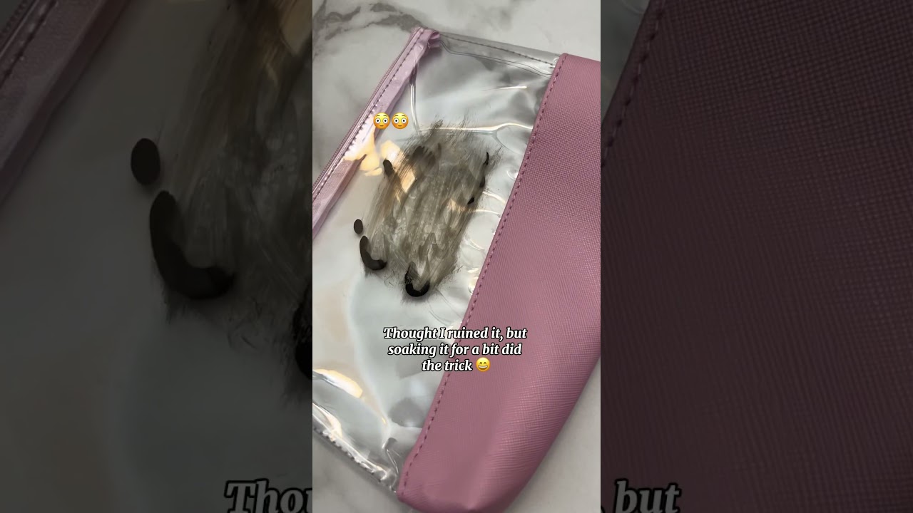 Should this be a new series?! 🎥🤩 #dollartree #diy #purseorganization #travelorganization